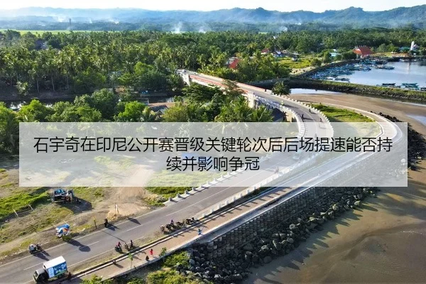 shi-yu-qi-zai-yin-ni-gong-kai-sai-jin-ji-guan-jian-lun-ci-hou-hou-chang-ti-su-neng-fou-chi-xu-bing-ying-xiang-zheng-guan-2-494.jpg